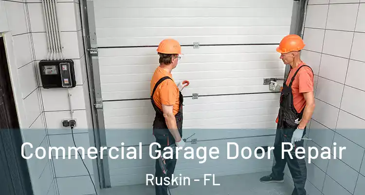  Commercial Garage Door Repair Ruskin - FL