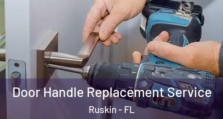  Door Handle Replacement Service Ruskin - FL