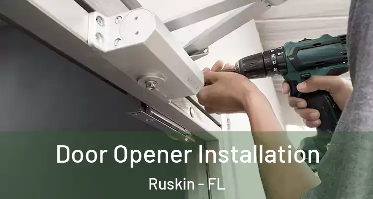  Door Opener Installation Ruskin - FL