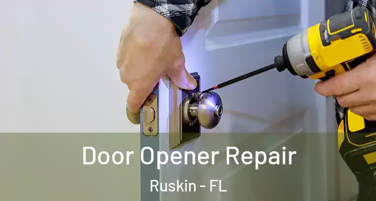  Door Opener Repair Ruskin - FL