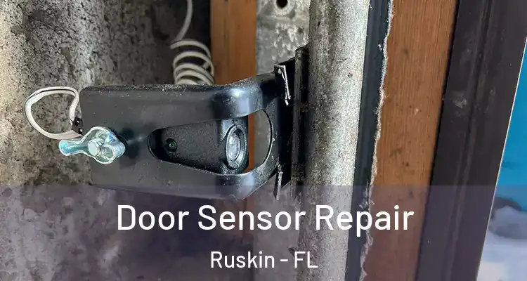  Door Sensor Repair Ruskin - FL