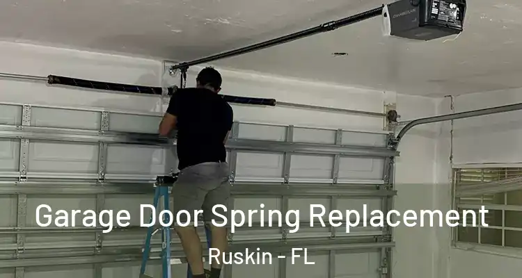  Garage Door Spring Replacement Ruskin - FL