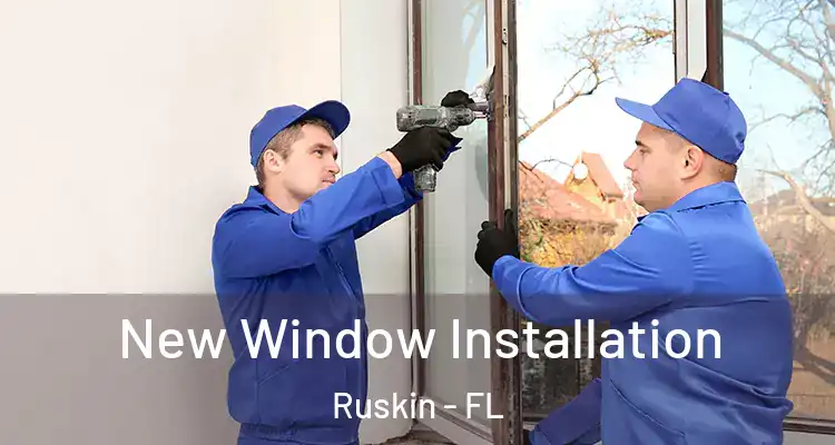  New Window Installation Ruskin - FL