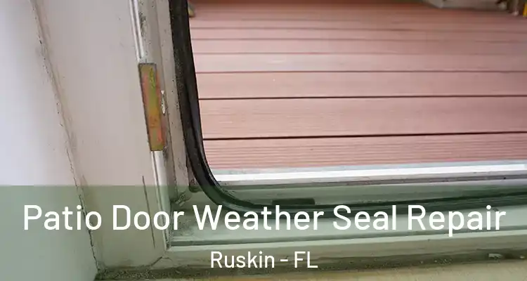  Patio Door Weather Seal Repair Ruskin - FL