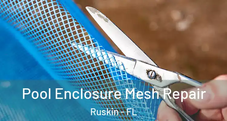  Pool Enclosure Mesh Repair Ruskin - FL