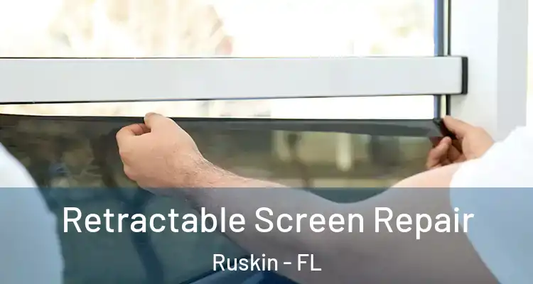  Retractable Screen Repair Ruskin - FL