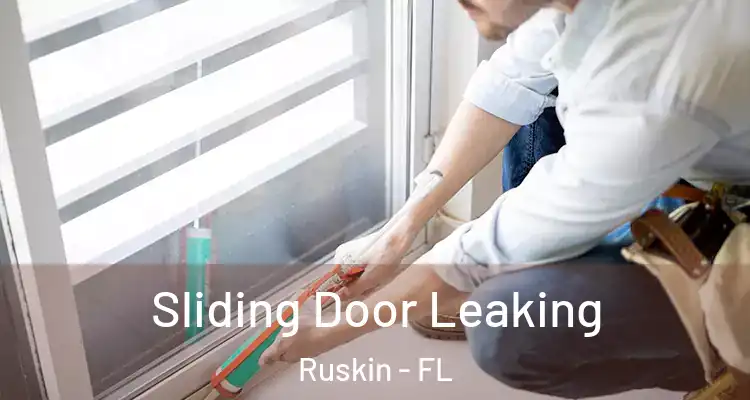  Sliding Door Leaking Ruskin - FL