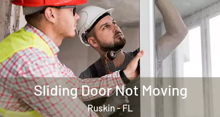  Sliding Door Not Moving Ruskin - FL