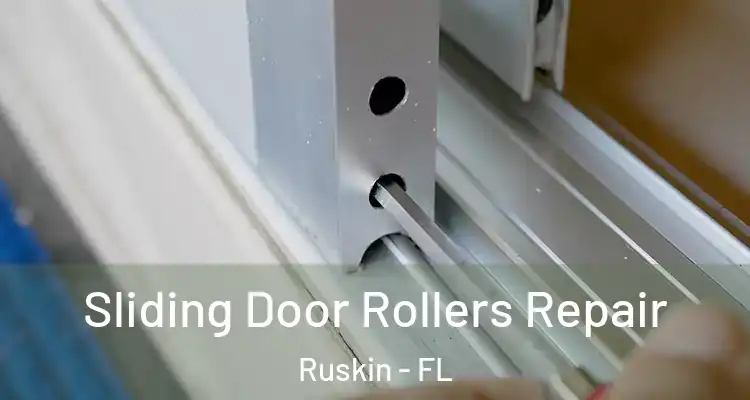  Sliding Door Rollers Repair Ruskin - FL