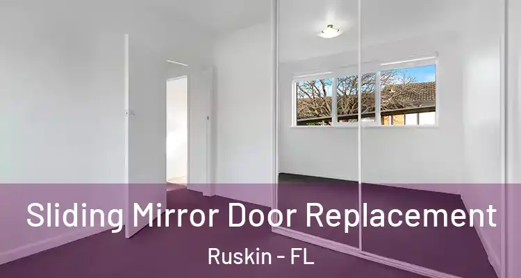  Sliding Mirror Door Replacement Ruskin - FL