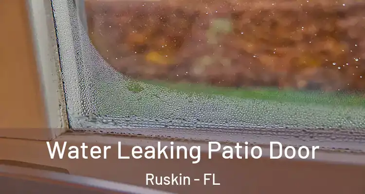  Water Leaking Patio Door Ruskin - FL